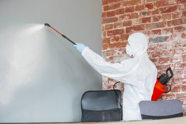 Best Commercial Mold Inspection  in Alexander, AR