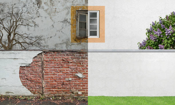 Best Environmental Consulting for Mold Prevention  in Alexander, AR